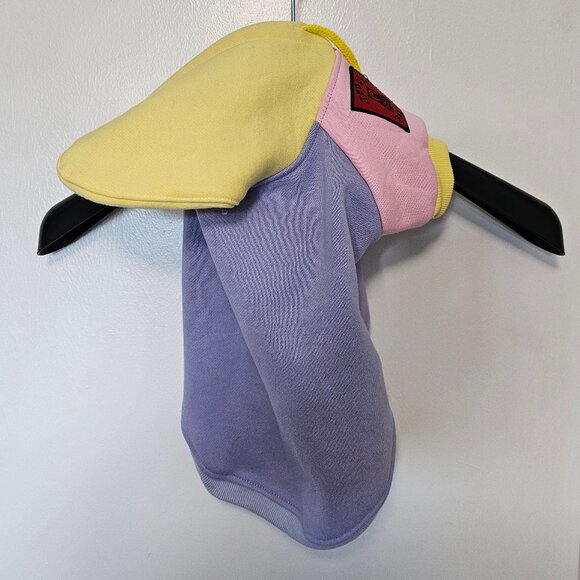 Teddy Fresh Pet Hoodie Colorblock Size L - Rare 2020 1st Edition - Picture 2 of 8